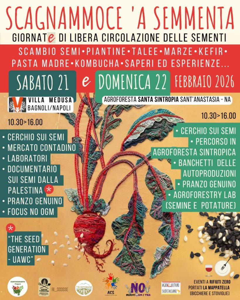 photo_2026-02-18_19-00-13