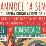 photo_2026-02-18_19-00-13